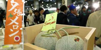 This is the most precious fruit in the world