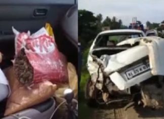 വാഹന പരിശോധനയ്ക്കിടെ നിർത്താതെ പോയി; കാറിൽ നിന്ന് നൂറ് കിലോ കഞ്ചാവ് പിടികൂടി cannabis seized in palakkad