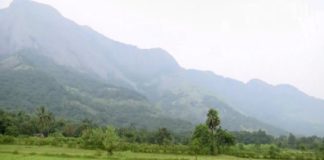 എയിംസ് പാലക്കാട് ജില്ലയിൽ അനുവദിക്കണം; ആവശ്യം ശക്തമാകുന്നു AIIMS should be sanctioned in Palakkad district