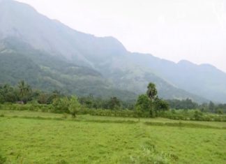 എയിംസ് പാലക്കാട് ജില്ലയിൽ അനുവദിക്കണം; ആവശ്യം ശക്തമാകുന്നു AIIMS should be sanctioned in Palakkad district