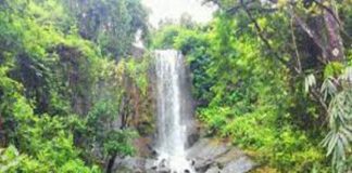 കടുവയുടെ സാന്നിധ്യം; ബറോഡ വെള്ളച്ചാട്ടത്തിൽ സഞ്ചാരികൾക്ക് വിലക്ക് Baroda waterfalls karuvarakkund