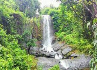 Baroda waterfalls karuvarakkund