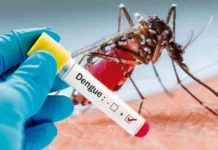 Outbreak-of-dengue-fever