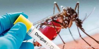 Outbreak-of-dengue-fever