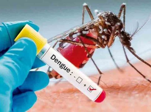 പാലക്കാട് വീണ്ടും ഡെങ്കിപ്പനി മരണം; ജില്ലയിൽ കേസുകൾ കൂടുന്നു Outbreak-of-dengue-fever