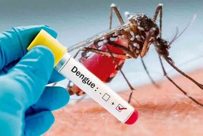 Outbreak-of-dengue-fever