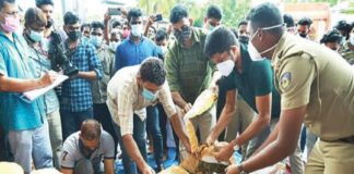 205 Kilogram Ganja Collected And Three Were ARrested In Malappuram