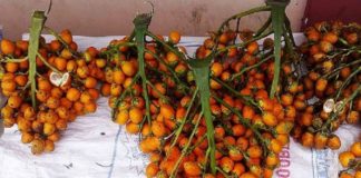 Price Hike For The Areca Nut In Malappuram