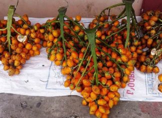 Price Hike For The Areca Nut In Malappuram
