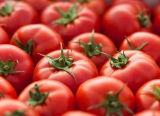 ഇവൻ ‘ചില്ലറ’ക്കാരനല്ല, കോടികളുടെ മുതൽ; ലോകത്തെ ഏറ്റവും വിലപിടിപ്പുള്ള തക്കാളി tomatoes