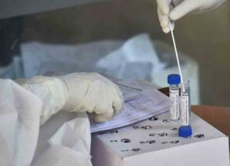 fever and body aches should be examined; Center