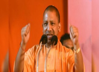 Yogi