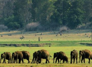 Karimpuzha Wildlife Sanctuary