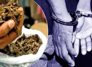 One were arrested in Palakkad For Ganja Smuggling