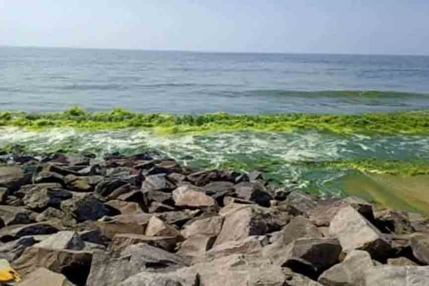 Sea-water-green The sea water is green even in narichal beach
