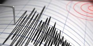 Earthquake shakes Tamil Nadu and Karnataka