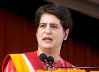 Hard work could not be converted into votes; Priyanka Gandhi