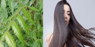 ആര്യവേപ്പുണ്ടോ? മുടികൊഴിച്ചിലും താരനും പമ്പ കടക്കും