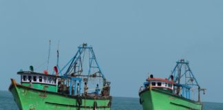 Indian Fisherman Arrested in srilanka