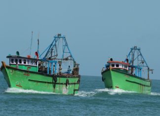 Indian Fisherman Arrested in srilanka