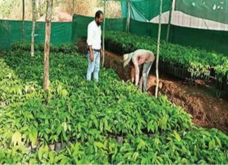 เดชเดฐเดฟเดฏเดพเดฐเด เดเดทเดงเดฟเดฏเดฟเตฝ เดเดฐเตเดฒเดเตเดทเด เดเดทเดงเดเตเดเตเดเดฟเดเตพ เดเดฐเตเดเตเดเตเดจเตเดจเต