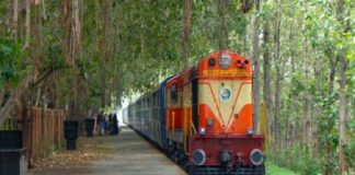 ഷൊർണൂർ-നിലമ്പൂർ പാതയിൽ ഈ മാസം അവസാനത്തോടെ കൂടുതൽ ട്രെയിനുകൾ Shornur-Nilambur route