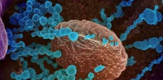 ബ്രിട്ടണിൽ ആദ്യ ഒമൈക്രോൺ മരണം സ്ഥിരീകരിച്ചു Confirms first omicron death in Britain