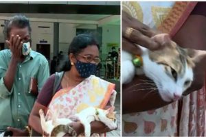 cat-shot-vaikom-complaint