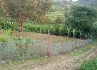 land in Attappadi was encroached