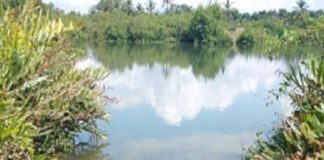 കാസർഗോഡ് കുണിയൻപാടി പുഴയിൽ പാലം വരുന്നു kasargod-news