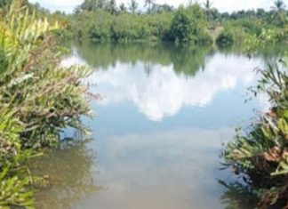 เดเดพเดธเตผเดเตเดกเต เดเตเดฃเดฟเดฏเตปเดชเดพเดเดฟ เดชเตเดดเดฏเดฟเตฝ เดชเดพเดฒเด เดตเดฐเตเดจเตเดจเต kasargod-news