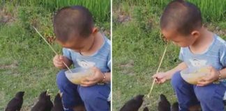 കിളികൾക്ക് ഭക്ഷണം വായിൽ വച്ചു നൽകി ബാലൻ; വീഡിയോ വൈറൽ Boy giving food to birds; Video goes viral