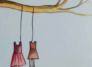 വാളയാർ കേസ്; ഡമ്മി പരീക്ഷണം നടത്താനൊരുങ്ങി സിബിഐ walayar case