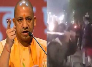 yogi