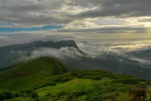 westernghats-report