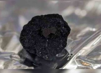 ഭൂമിയേക്കാൾ പ്രായമുള്ള പാറക്കല്ല്; കൗതുകമായി ഉൽക്കാശില A rock older than the earth