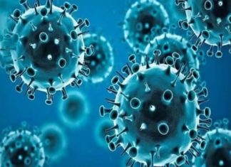 Checking In Nilgiri Border Tightened Due To Omicron