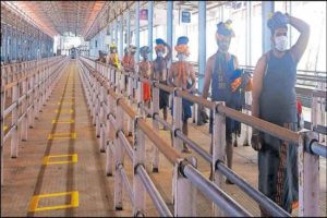 Sabarimala Virtual Queue