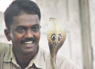 വാവ സുരേഷിന് സൗജന്യ ചികിൽസ ഉറപ്പ് നൽകി ആരോഗ്യമന്ത്രി