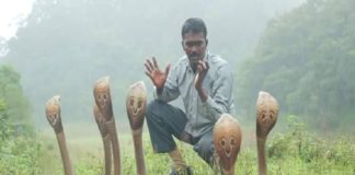 പാമ്പ് പിടുത്തത്തിനിടെ മൂർഖന്റെ കടിയേറ്റു; വാവ സുരേഷ് ഗുരുതരാവസ്ഥയിൽ Vava Suresh Hospitalized Due To Snake Bite