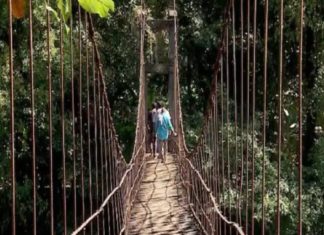 เดฆเตเดฐเดตเดฟเดเตเดเต เดตเตเดดเดพเดฑเดพเดฏ เดคเตเดเตเดเตเดชเดพเดฒเดคเตเดคเดฟเดฒเตเดเต เดเดฐเต เดเดจเดคเดฏเตเดเต เดธเดพเดนเดธเดฟเด เดฏเดพเดคเตเดฐ; ‘เดตเตเดฑเต เดตเดดเดฟเดฏเดฟเดฒเตเดฒ’ KANNUR NEWS