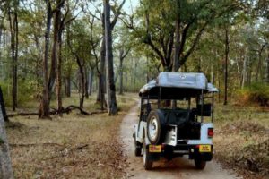 ശരണ്യക്കായി ഇന്നും തിരച്ചിൽ; ഫോൺ സ്വിച്ച് ഓഫ്, ‘വഴിതെറ്റി’യെന്ന് അവസാന അറിയിപ്പ്