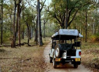 Missing Forest Officials Found Safe