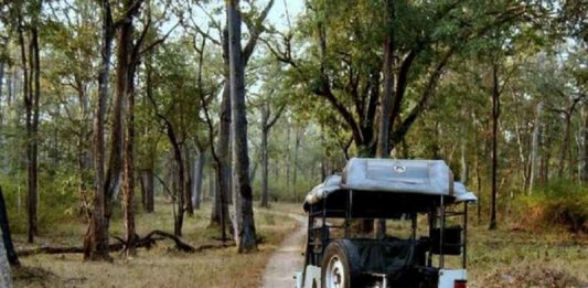 ശരണ്യക്കായി ഇന്നും തിരച്ചിൽ; ഫോൺ സ്വിച്ച് ഓഫ്, ‘വഴിതെറ്റി’യെന്ന് അവസാന അറിയിപ്പ് Missing woman