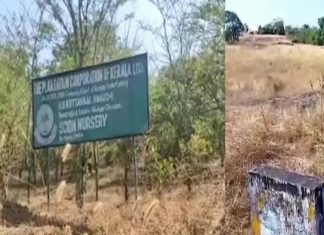 Endosulfan rehabilitation project