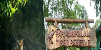 parambikulam tiger reserve