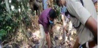 เดตเตเดเตเดเตเดตเดณเดชเตเดชเดฟเตฝ เดฎเดพเดฒเดฟเดจเตเดฏเด เดเดคเตเดคเดฟเดเตเดเตเดจเตเดจเดคเดฟเดจเดฟเดเต เดธเตโเดซเตเดเดจเด Explosion while burning garbage in the yard