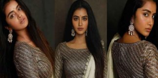 ഫോട്ടോഷൂട്ടിൽ തിളങ്ങി അനുപമ പരമേശ്വരൻ; ചിത്രങ്ങൾ വൈറൽ