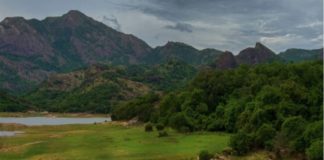 Water Sources Drying In Anamala In Palakkad