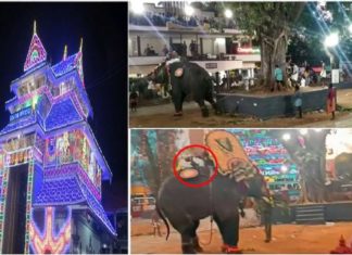കൂർക്കഞ്ചേരിയിൽ തൈപ്പൂയ ആഘോഷത്തിനിടെ ആനയിടഞ്ഞു